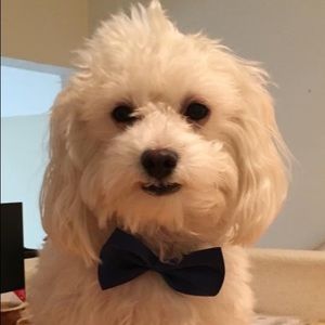 Meet your Posher, Lorin